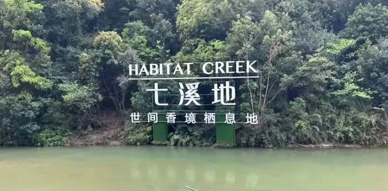 影动力,影擎科技,团建