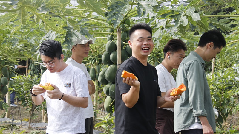 影聚一心 聚力前行,2025年影动力的“高能”放松日 影聚一心 聚力前行,2025年影动力的“高能”放松日